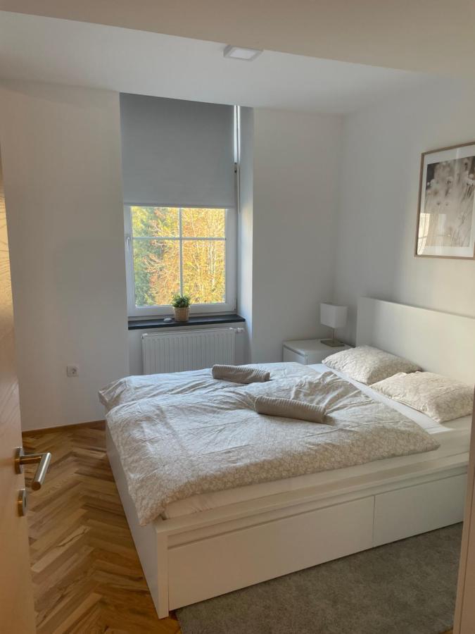 Casa Park Premium Free Parking Apartment Maribor Bagian luar foto