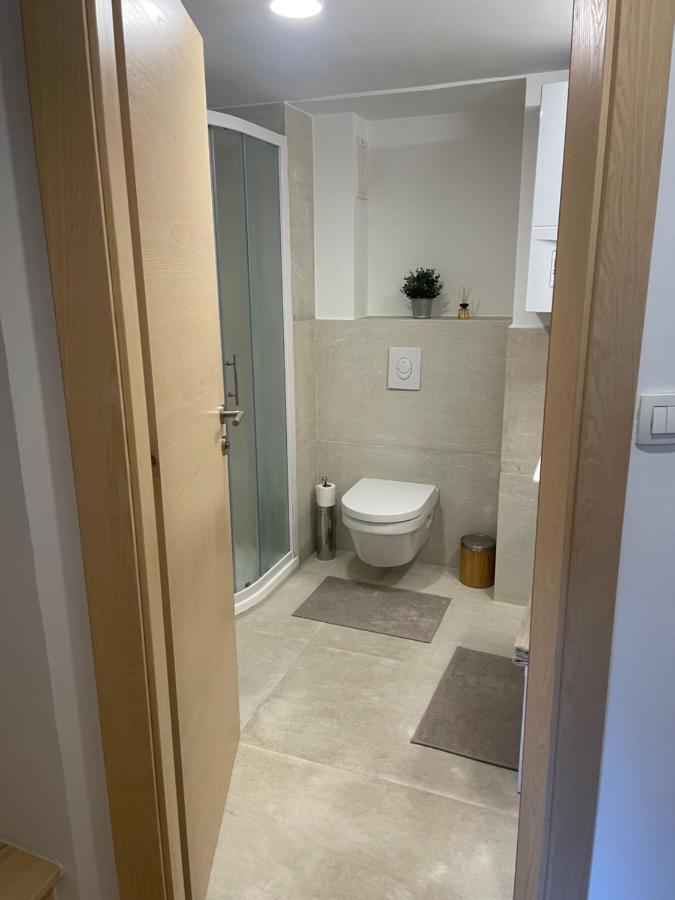 Casa Park Premium Free Parking Apartment Maribor Bagian luar foto